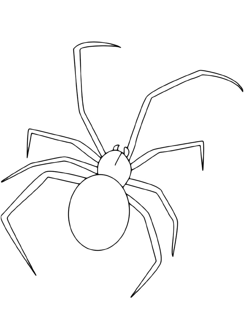 Картинки нарисованного паука. Паук сбоку рисунок. Паук Каракурт раскраска. Нарисовать паука. Паук для срисовки карандашом.